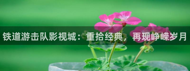 蓝莓影院免费观看