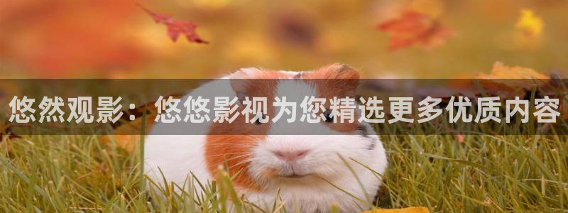 蓝莓影院在线播放